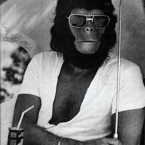 Meet your Posher, James